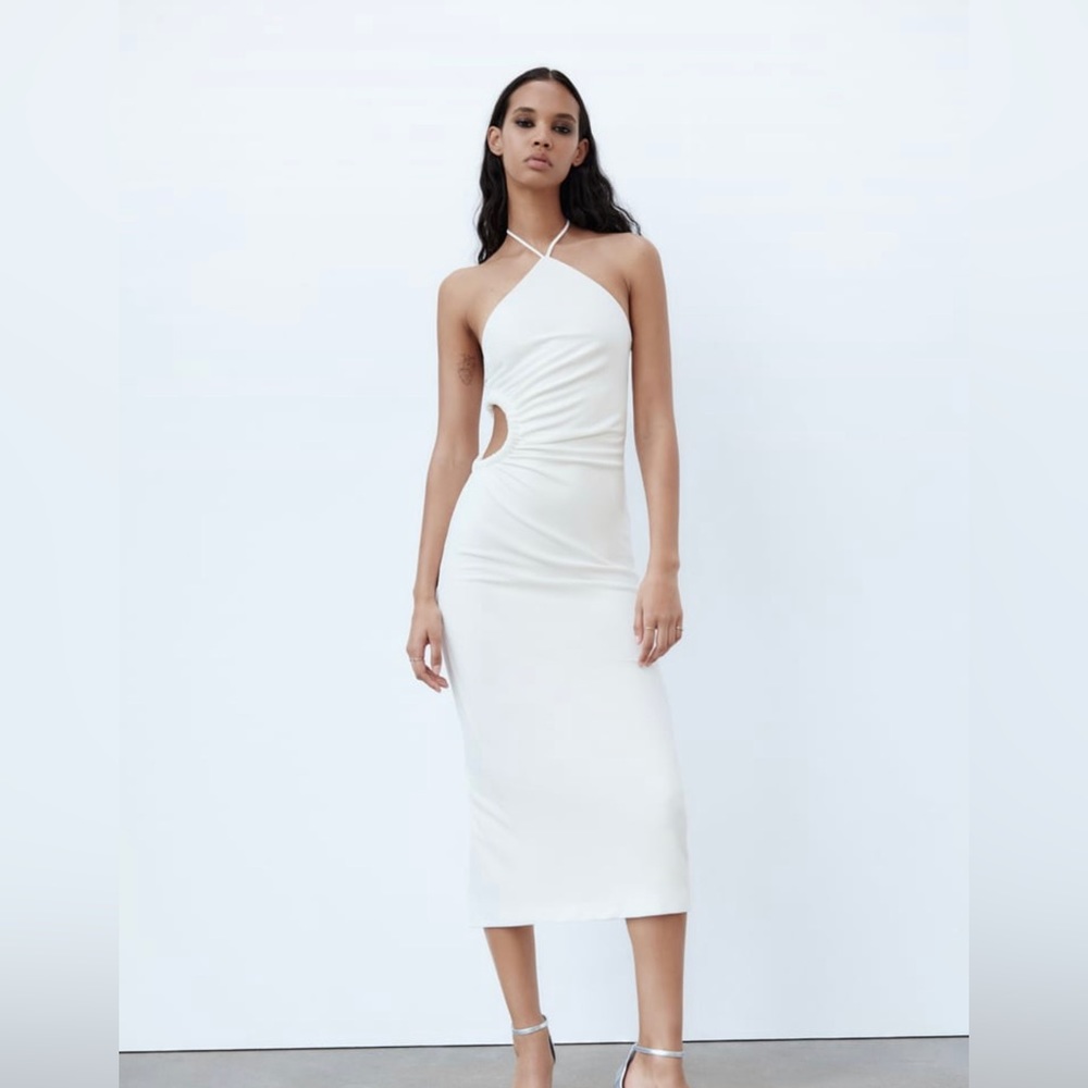 Zara dress